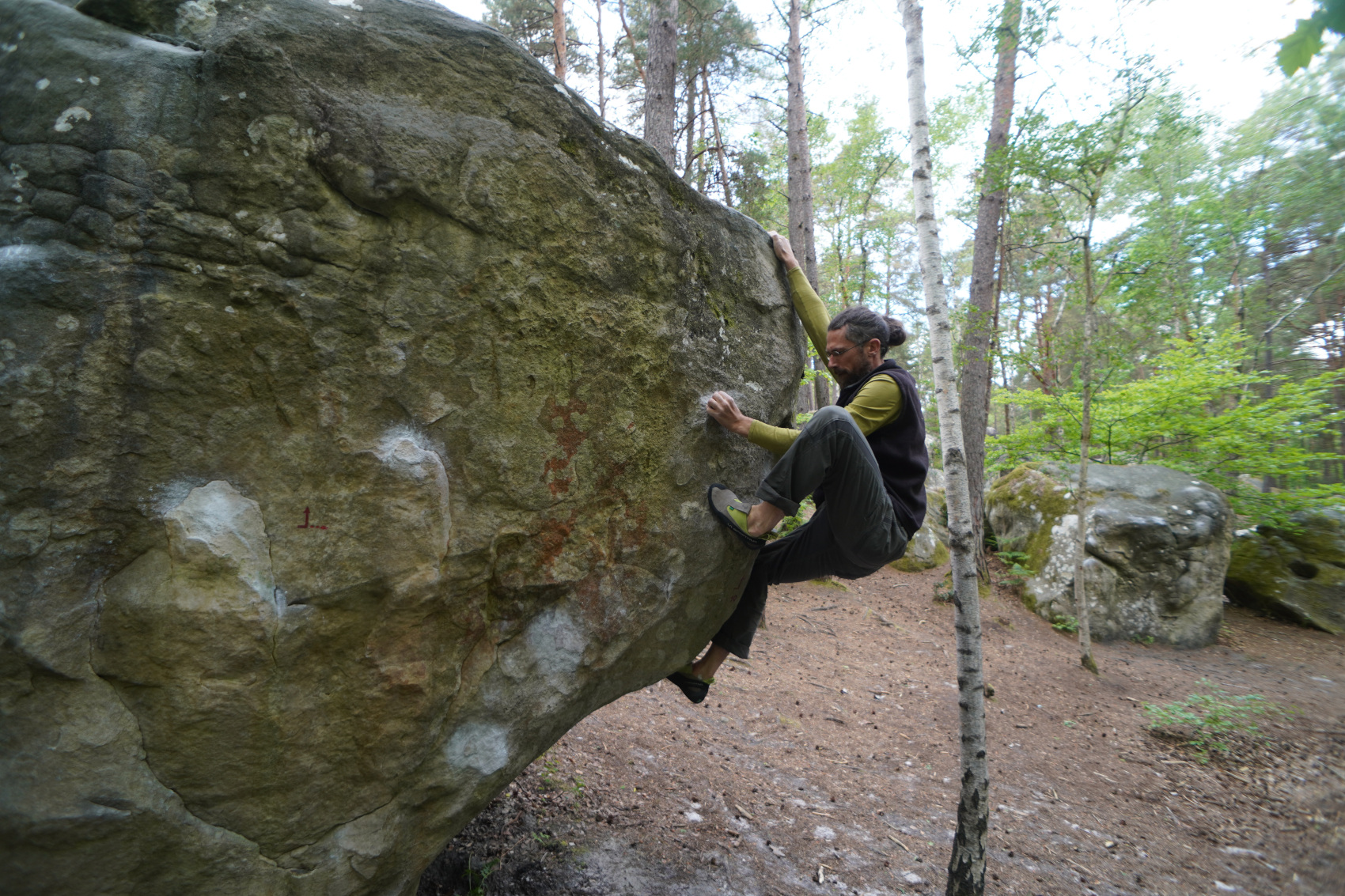 chouchou bloc profil